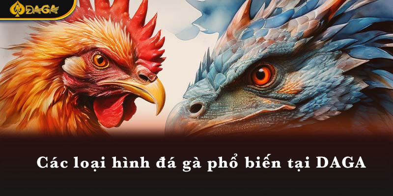 Các loại hình đá gà phổ biến tại DAGA