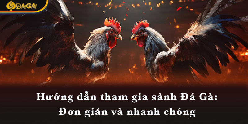 Hướng dẫn tham gia sảnh Đá Gà: Đơn giản và nhanh chóng