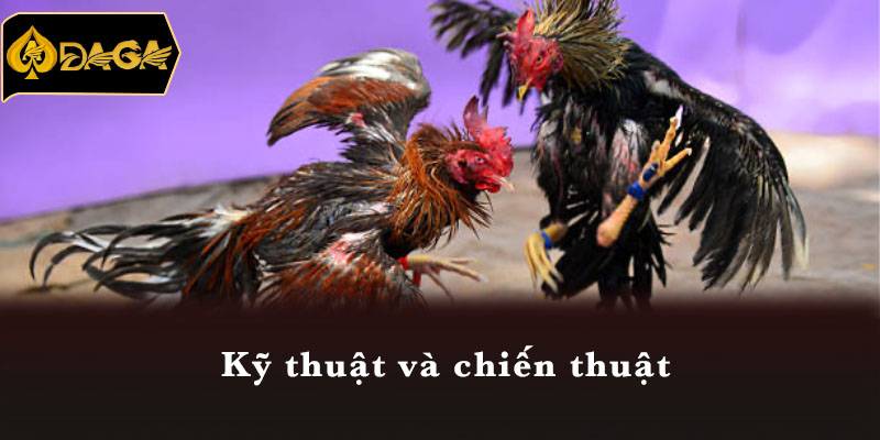 Kỹ thuật và chiến thuật 