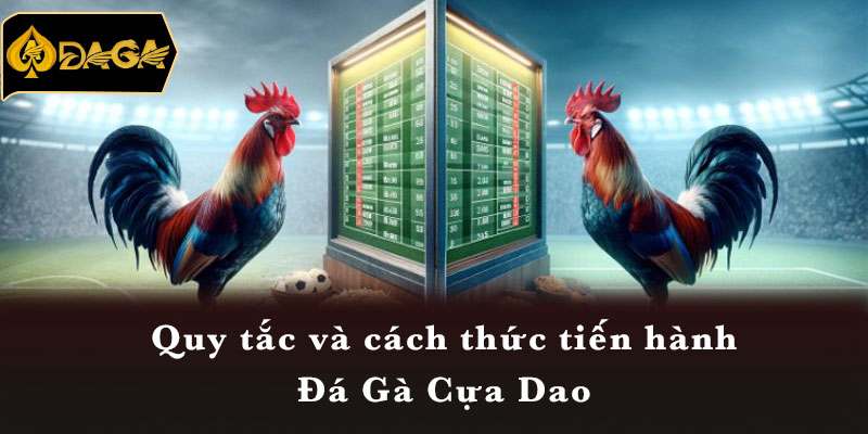 Quy tắc và cách thức tiến hành Đá Gà Cựa Dao